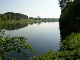 Šárecký potok 2-ú.n.Džbán 3.6.05 (3).jpg